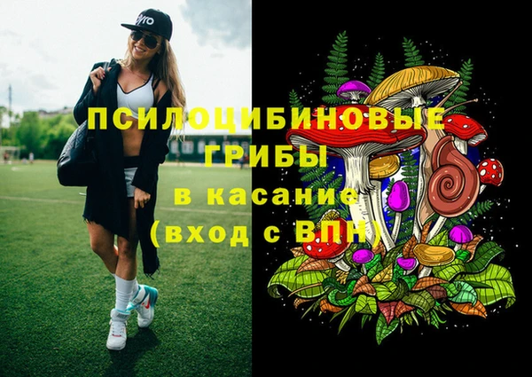 метадон Алексин