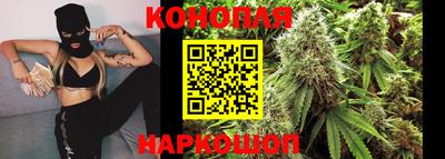 не бодяженный Гай