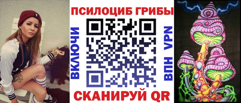 Галлюциногенные грибы Psilocybe  купить наркоту  Большой Камень 