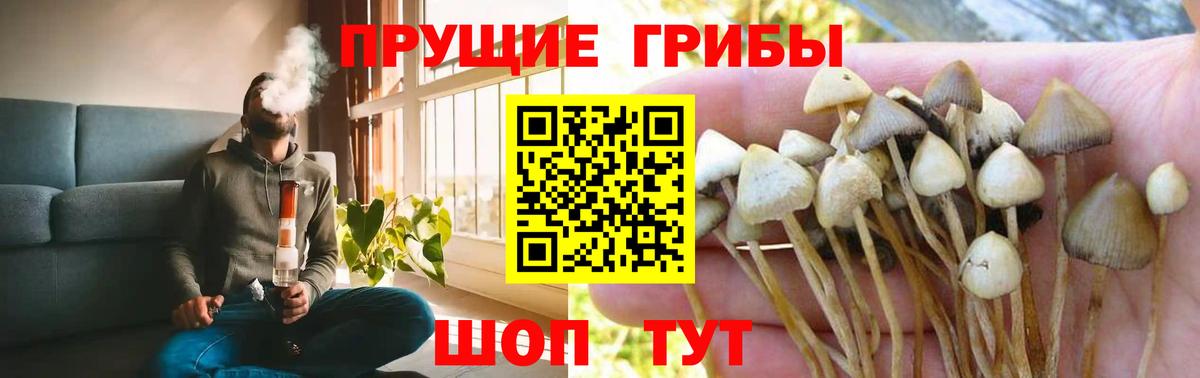 Галлюциногенные грибы мицелий Большой Камень