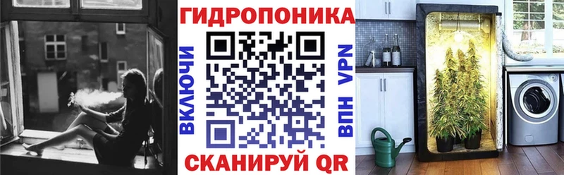Конопля VHQ  даркнет сайт  Большой Камень 